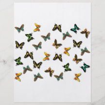 Papillons Prospectus En Couleur