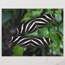Papillons Prospectus Personnalisés