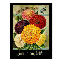 Paquet vintage de graine de fleur - carte postale