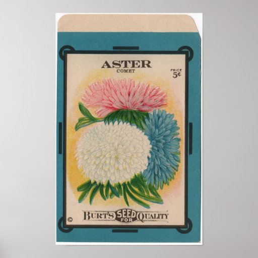 Paquets vintages de graine affiche