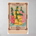 Paquets vintages de graine poster