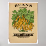Paquets vintages de graine posters