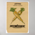 Paquets vintages de graine posters