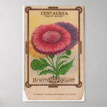 Paquets vintages de graine posters