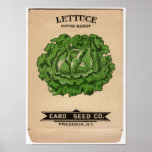 Paquets vintages de graine posters