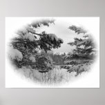 Par des branches affiche