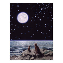 Par la lumière de la lune de poissons de chat carte postale