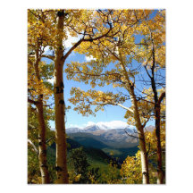 Par l'Aspen Photo Sur Toile