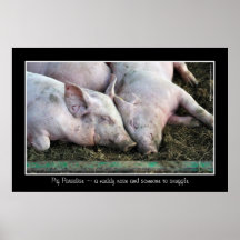 Paradis de porc affiches