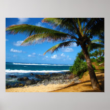 Paradis hawaïen poster