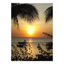 Paradis tropical bristols personnalisés