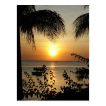 Paradis tropical carte postale