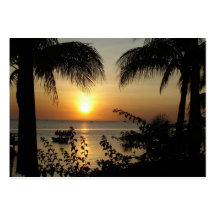Paradis tropical cartes de visite professionnelles