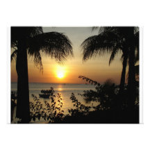 Paradis tropical faire-parts