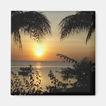 Paradis tropical magnets