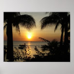 Paradis tropical affiche