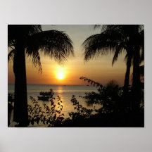 Paradis tropical affiche