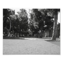 Parc Photos