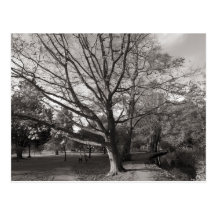 Parc Cardiff de Bute de paysage d'automne Cartes Postales