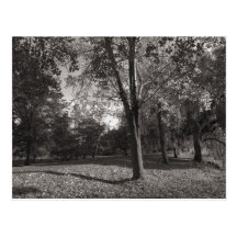 Parc Cardiff de Bute de paysage d'automne Cartes Postales