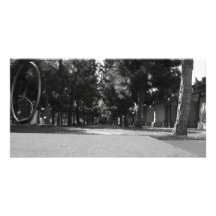 Parc Cartes De Vœux Avec Photo