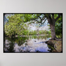 Parc d'Audubon Affiches