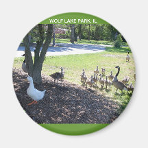 PARC DE LAC DE LOUP, ILLINOS MAGNETS