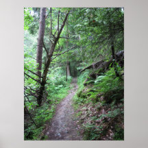 Parc de MillCreek - #8 2010 Affiches