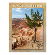 Parc national de canyon de Bryce, Utah Cartes Postales