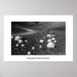 Parc national de Haleakala Posters
