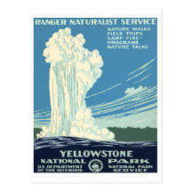 Parc national de Yellowstone Carte Postale