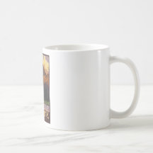 Parc national de Yosemite - demi de dôme - cru Mugs