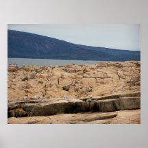 Parc national Maine d'Acadia Posters