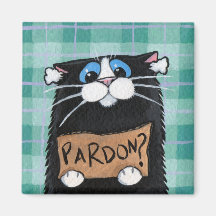 Pardon - aimant lunatique de chat