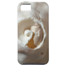 Parfaitement collé coques iPhone 5