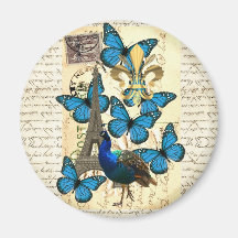 Paris, paon et papillons magnets pour réfrigérateur