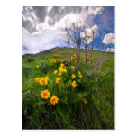 Park City incline au printemps carte postale