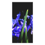 Parmi les dames les cadeaux de Zazzle de MUSÉE Cartes Avec Photo