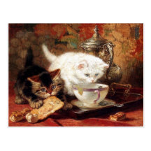 Partie de goûter de chatons cartes postales