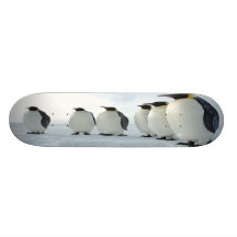 Partie de pingouin skateboard
