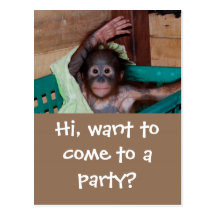 Partie mignonne d'orang-outan cartes postales