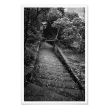 Partir Impressions Photo