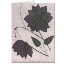 Passion noire cartes de vœux