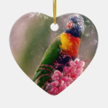 pastel exotique d'oiseau ornement