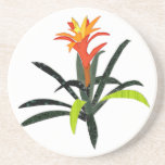 Patchwork Bromeliad tropical Dessous De Verre