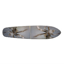 Patin 101 d'araignée plateaux de skate