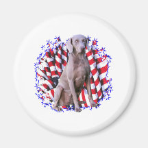 Patriote de Weimaraner Aimants