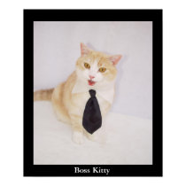 Patron Kitty posters
