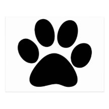 Patte animale cartes postales