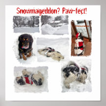 Patte-fect Snowmageddon Poster